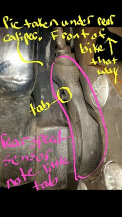 Rear speed sensor. This is taken from the ground upward. Front of bike is noted via arrow.
On this bike re torquing the rear axle bolt requires a specific sequence outlined in the manual due to the wheel bearing. You need a 36mm socket for it.