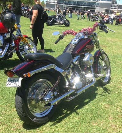 My old girl 1988 FXSTC