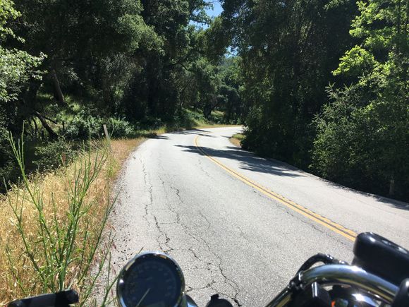 This did not turn out as hoped.  The trees are blooming and wildflowers blooming as well, but none of them showed in this pic, sadly.  Still pretty scenery.  Temps got to about 80 here today.