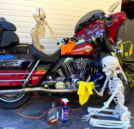 Bet they work cheap and don't eat much