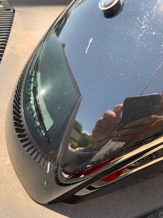 Scratch in fender