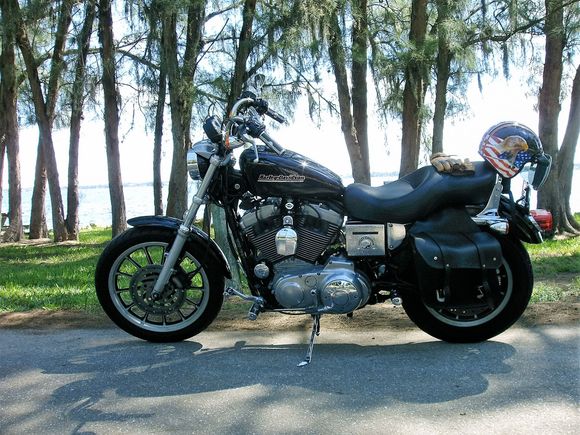 First. Harley 2002 XL1200