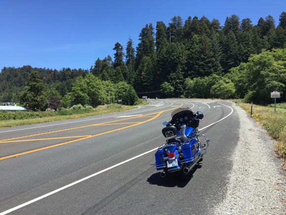 Into the Ancient Redwood forest.