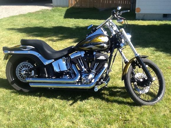 The Softail