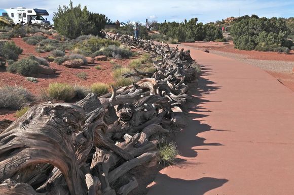 More scenes from Canyonlands and the Grand View Overlook.