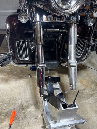 One stock one Willy Shiny