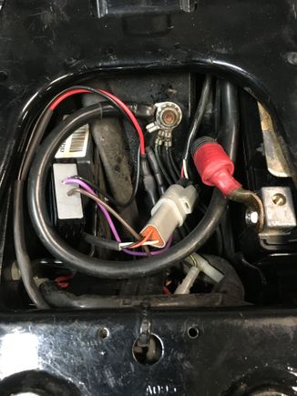 Under the seat, little black/gray box is the equalizer, just ground the black and added quick connectors to the rear running wires.