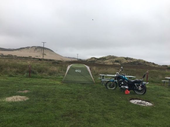 Another camping picture, this was north of the city at Dillion Beach, we arrived super late (after 2200) and couldn't find the camping spot we reserved so we settled on this.