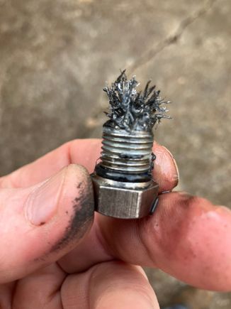 Maybe not a moment too soon! Primary drain plug. The tear down is going to be interesting.