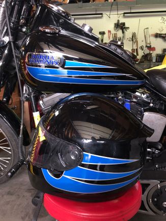 Scalloped stripes to match my Springer