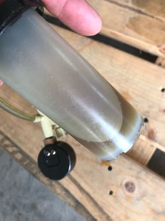 4 year old fluid