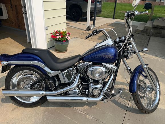 2007 FXSTC Cobalt