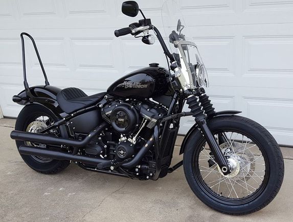 HD Tall Rigid Sissy Bar