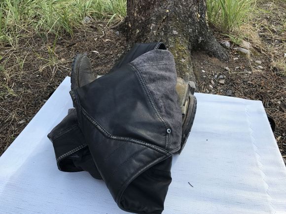 Rocky's Pillow