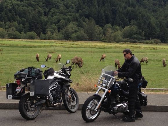 Dean Creek near Reedsport, OR