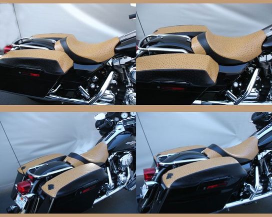 Bagger 2Tone Ostrich C&amp;C Seat
http://www.sideroadcycles.com/AmericanMotorcycles/Seats/Motorcycle_Seats.html