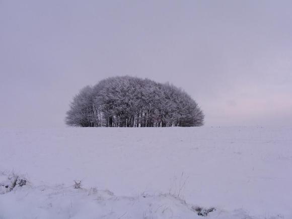 cranborne chase dec2010