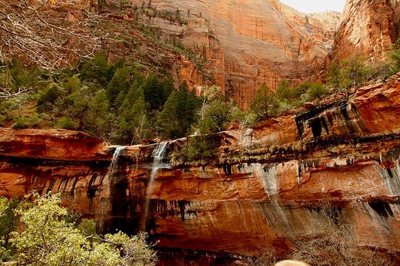 Zion National Park