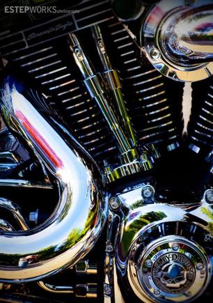 Harley2 8