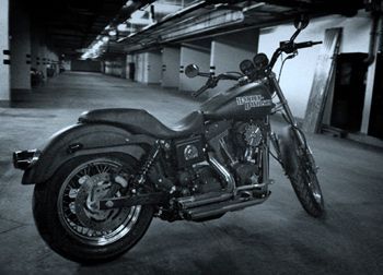 dyna