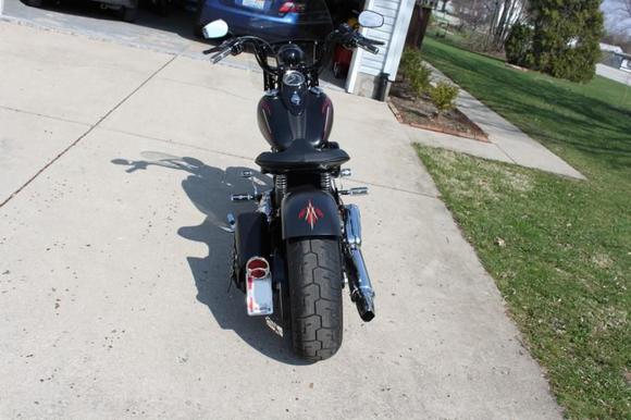 Painted Roland Sands Fender