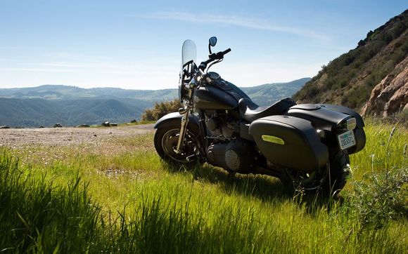 2010 Fat Bob