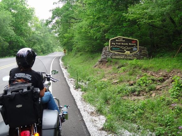 The pigtrail was a blast. Might of past 10 cars the whole way. Weather was perfect.