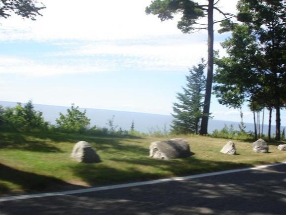 Tunnel of trees trying to snap a picture of Lake Michigan to show the elevation of the road.  Great fall ride too.