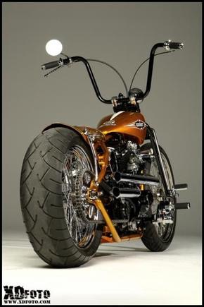 Buell Powered Bobber