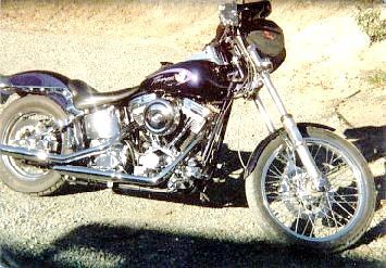 Thumper Built in 2000 by Michael Steggman. A 100hp 100 ft lbs torque mean machine. Baisley Heads, Revtech Trans, Delkron Cases,Softail.