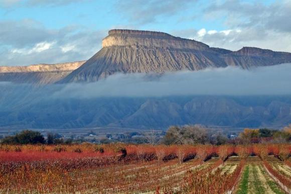 391999 2285555250643 1001748307 32018148 858621814 n