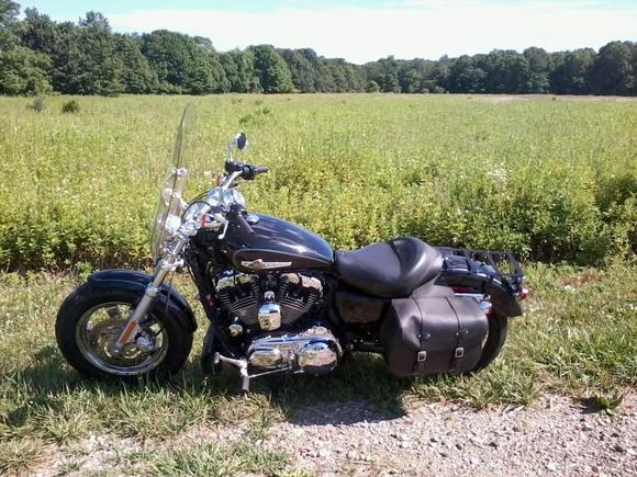 2011 XL1200C