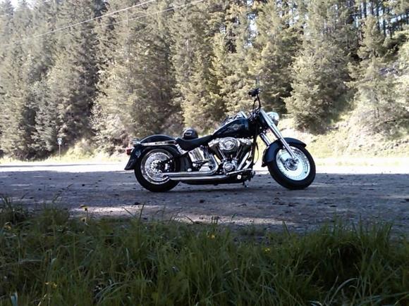 17 May 2009, Mt Ranier