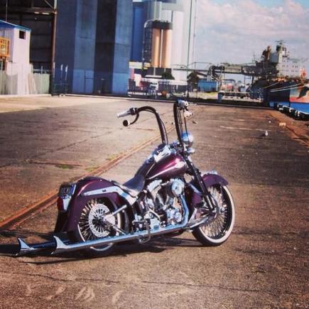 My Springer