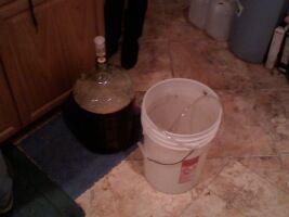 Fermentation