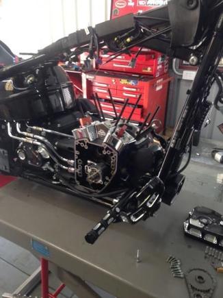 Stage IV Strip Down