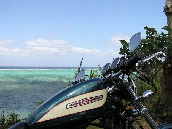 Found this one on Facebook, couldn't resist.