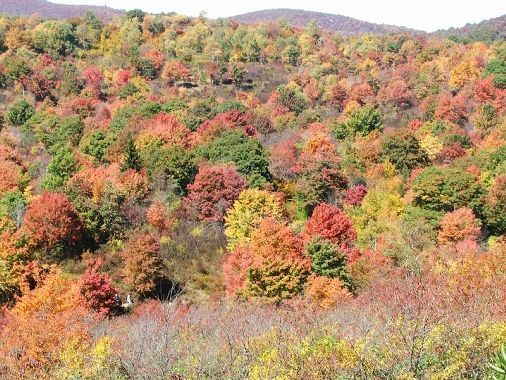 blue ridge oct 06 colors