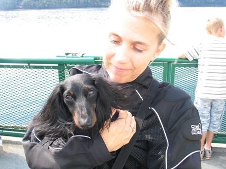 elwood and honey