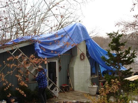 House under cover