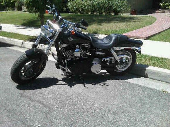 My Fat Bob Again