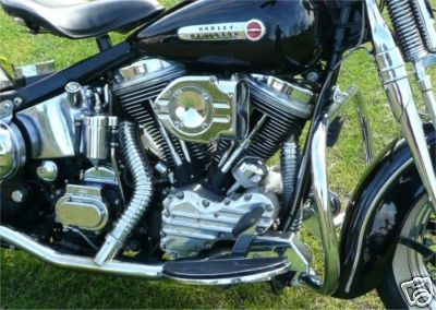Lyndons Springer Softail 002