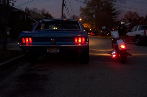 rear shots