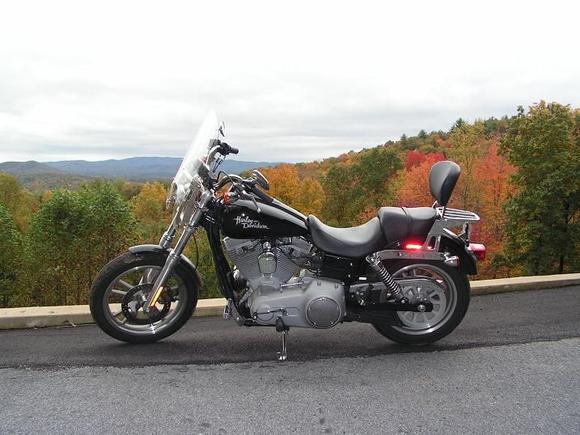 In Ellijay Georgia