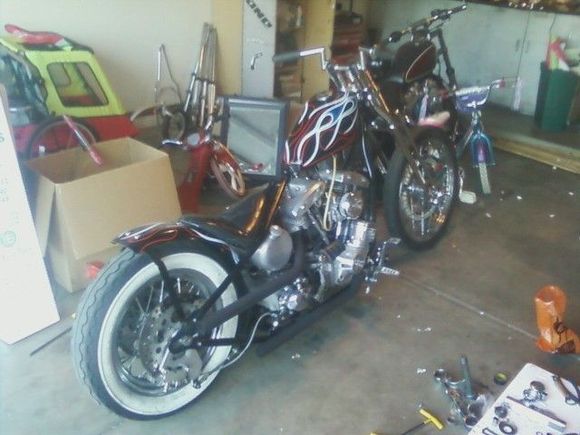 springer2