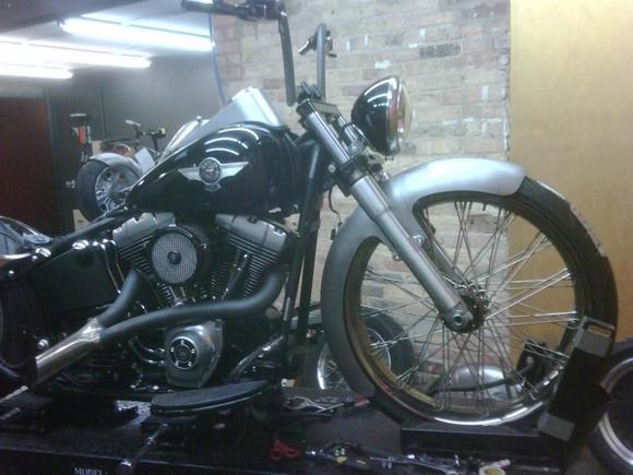 Fat Katz makes the nicest fenders. Cut this one up a little bit. 23" front looks rite at home under there.