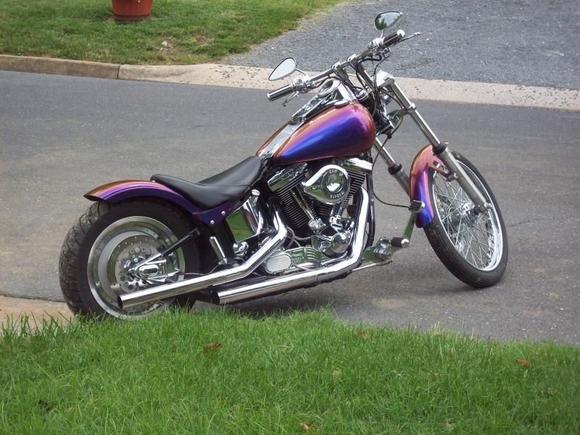 My old EVO (sold). 98 FXSTC...bobbed...no signal lights---bar hopper