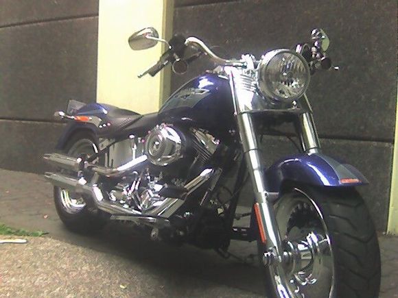 Blue Pearl ready to go...