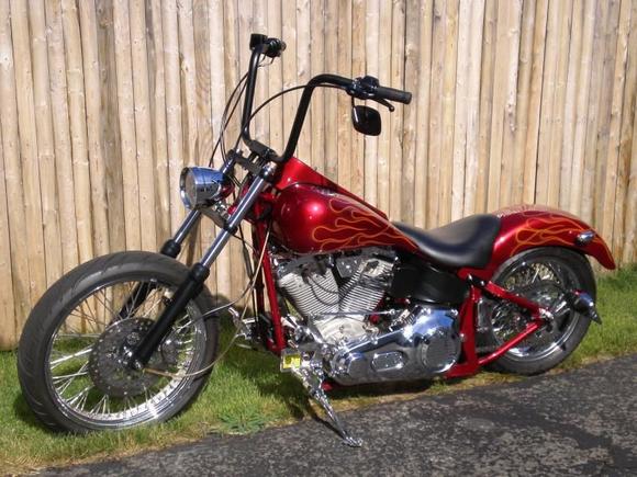 updated bike pics 002