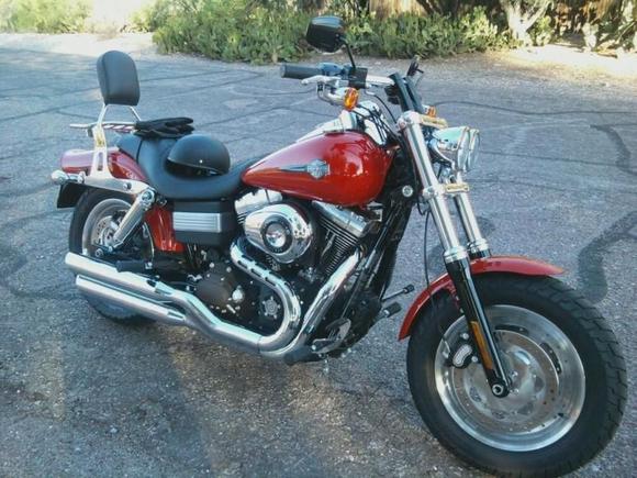 charlene with sissy bar